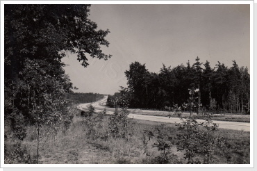 Strecke im Oberwald 19.07.1937